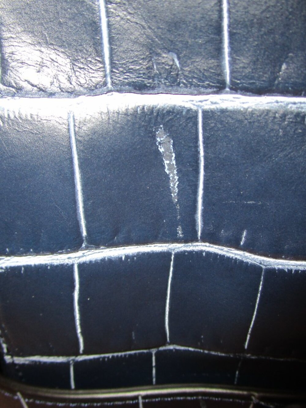 Coach Denim Croco Swagger - Picture 13 of 13